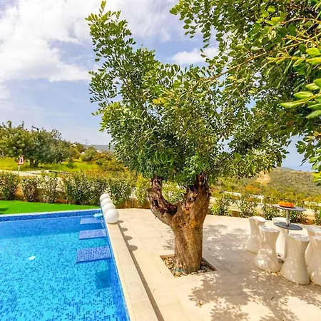 Latchi Infinity Blue Neo Chorio